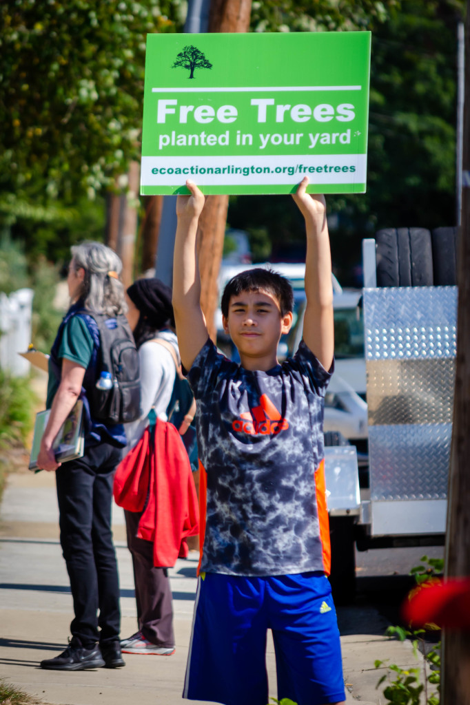 Photo of a young person standing on the street holding up a green sign that reads: Free trees planted in your yard
